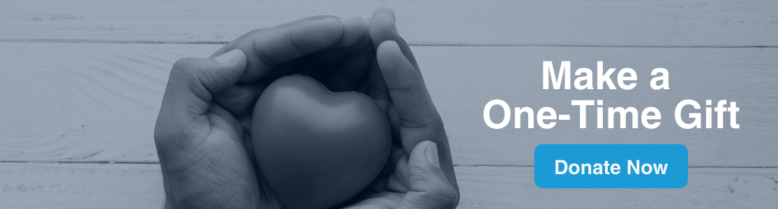 Hands holding heart shaped object, text "Make a One-Time Gift", and donate now button